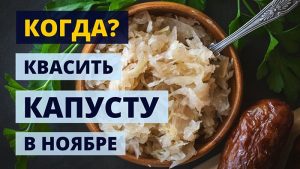 Когда квасить капусту в ноябре