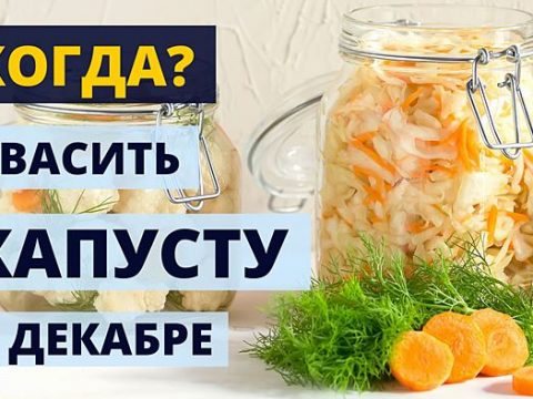 Когда квасить капусту в декабре