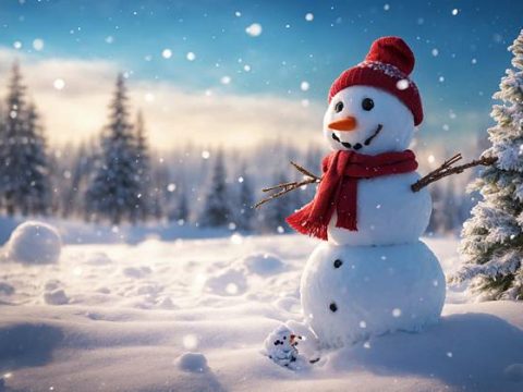 Снеговик в январе