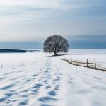Заснеженное поле зимой