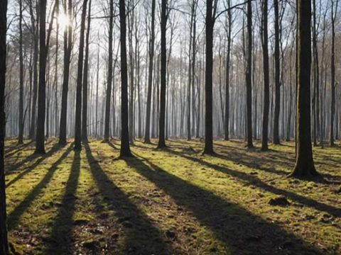 Весенний день в марте