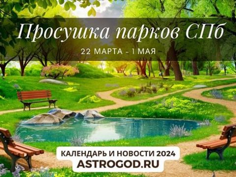 Просушка парков СПб в 2024 году