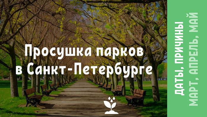 Просушка парков в Санкт-Петербурге даты и причины