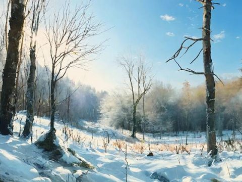 Лес в марте