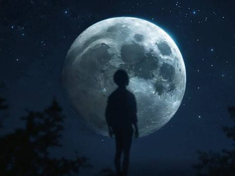 Лунная ночь