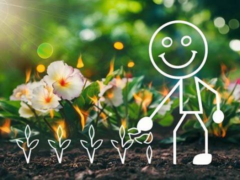 Календарь огородника