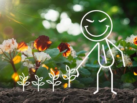 Лунный календарь для садоводов