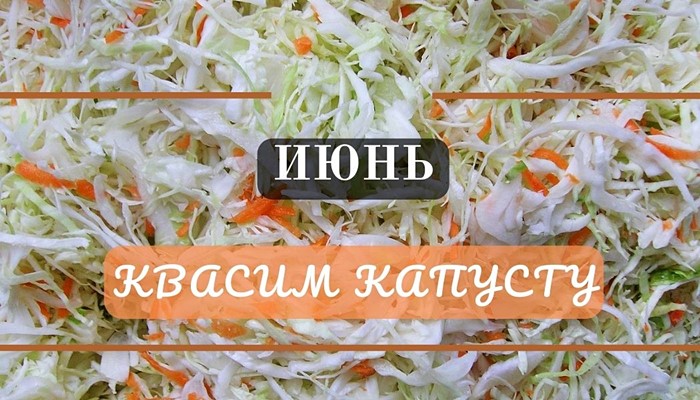 Квасим капусту в июне