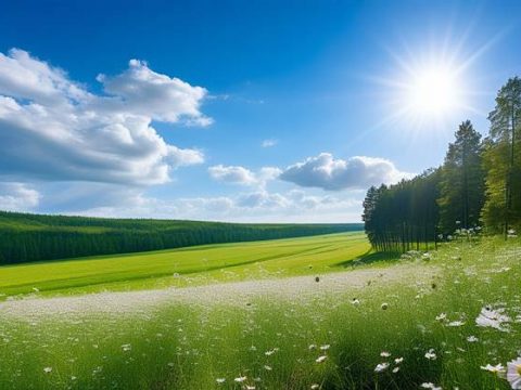 Что можно и нельзя делать 9 июня