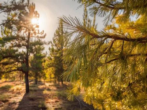 Что можно и нельзя делать 16 августа