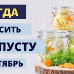 Когда квасить капусту в сентябре