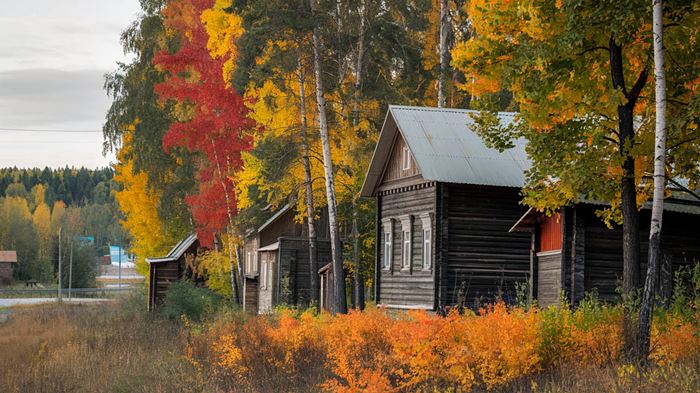 Осень в деревне