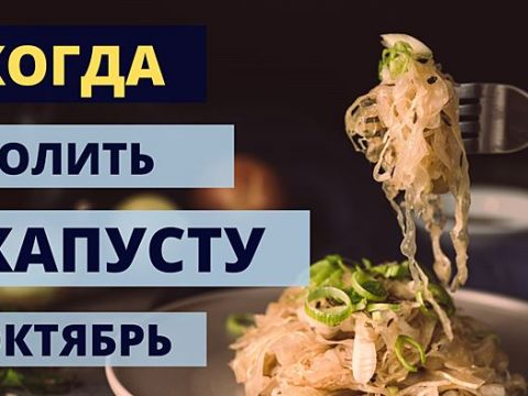 Когда солить капусту в октябре