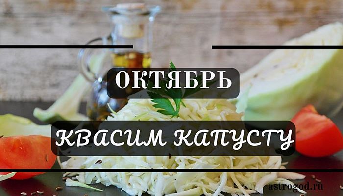 Не пропустите: названы идеальные дни в ноябре для квашения капусты