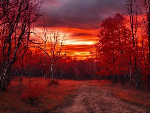 Поздняя осень