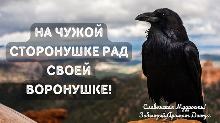 На чужой сторонушке рад своей воронушке - славянская мудрость