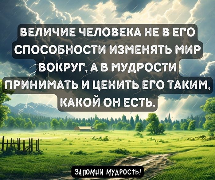 Мудрые мысли о человеке