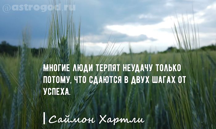 Мудрые цитаты умных людей