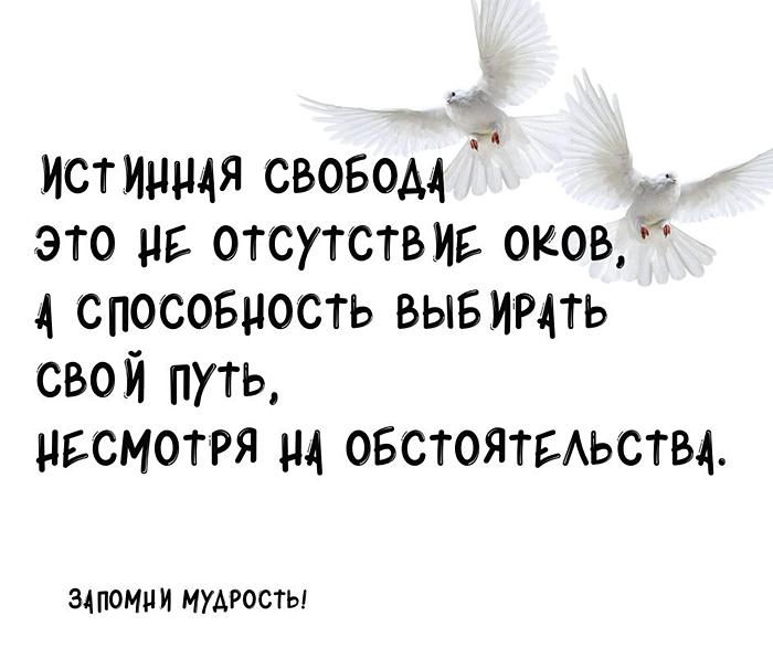 Мудрые мысли о свободе