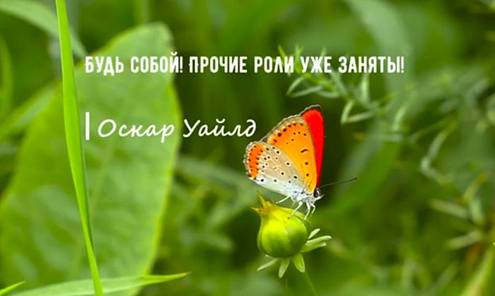 Мудрые мысли и цитаты