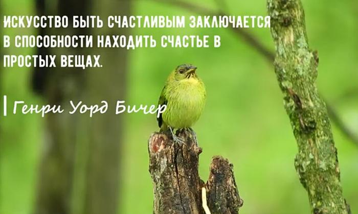 Мудрые цитаты известных людей