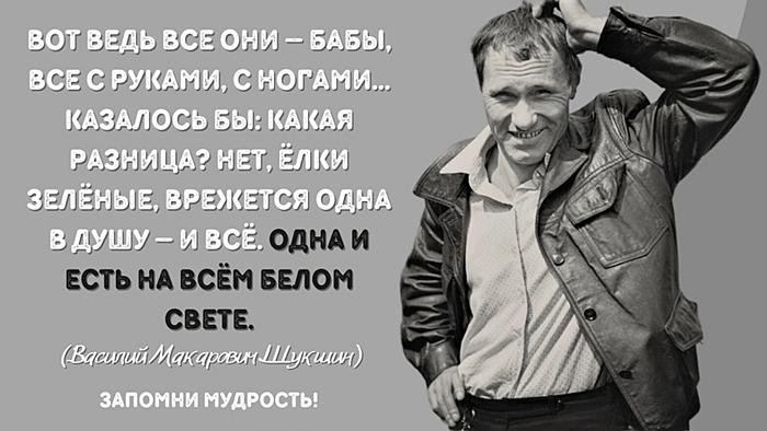 Цитаты Василия Шукшина