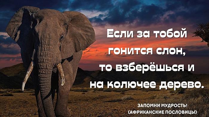 Пословицы и поговорки Африки