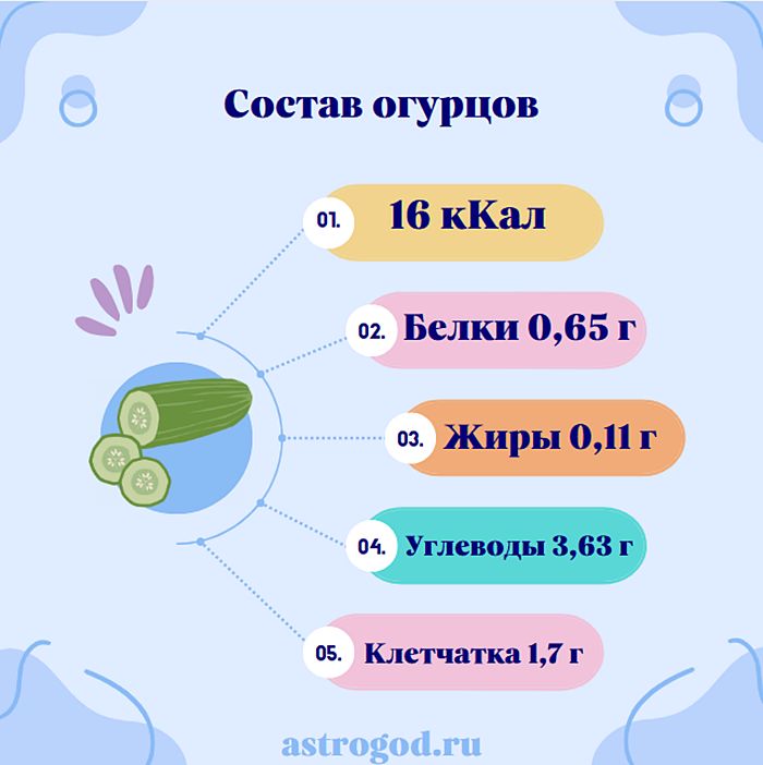 Состав огурцов: калорийность, белки, жиры, углеводы, клетчатка