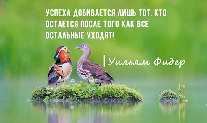 Мудрые мысли об успехе