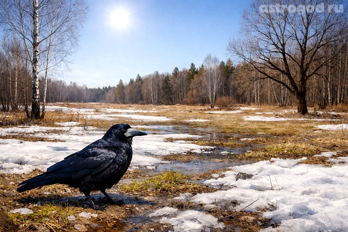 Что можно и нельзя делать 17 марта по приметам и традициям