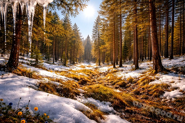 Что можно и нельзя делать 4 апреля