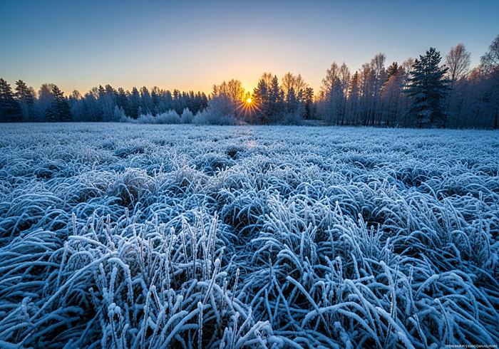 Природа в апреле