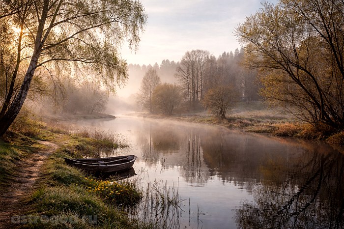Что можно и нельзя делать 23 апреля