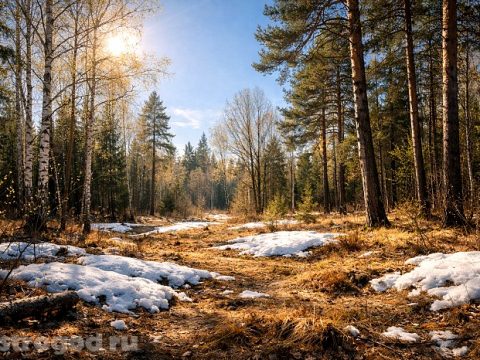 Красивый весенний пейзаж в апреле