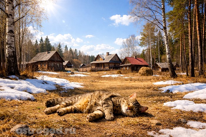 Тёплая весна в апреле