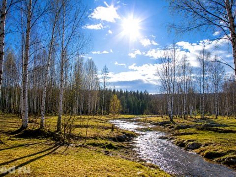 11 мая что можно и нельзя делать по приметам
