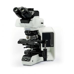 Основы работы с многоканальной флуоресценцией на Olympus BX53: практическое руководство для начинающих
