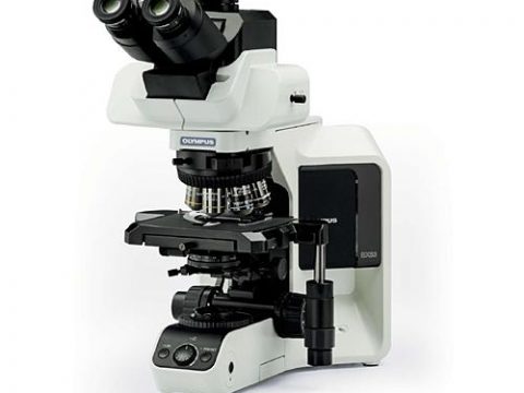 Основы работы с многоканальной флуоресценцией на Olympus BX53: практическое руководство для начинающих