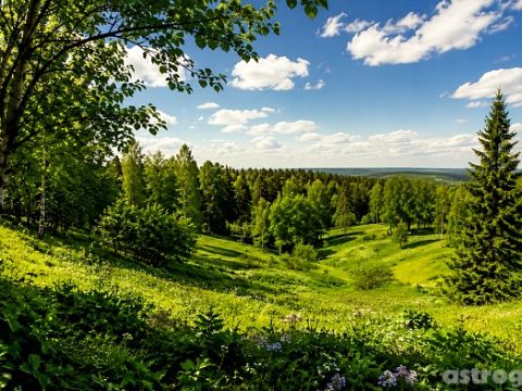 Что можно и нельзя делать 13 мая